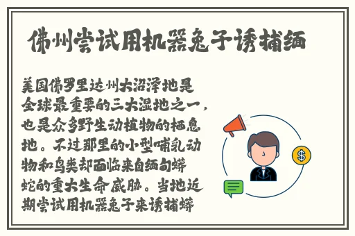 两个人 的我好爽太痒了