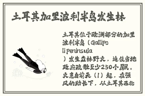 EVO妻子变漂亮的原因第一季